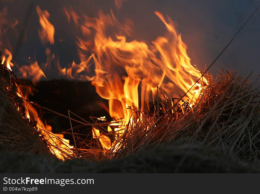 Wild bushes on fire raging out of control. Wild bushes on fire raging out of control