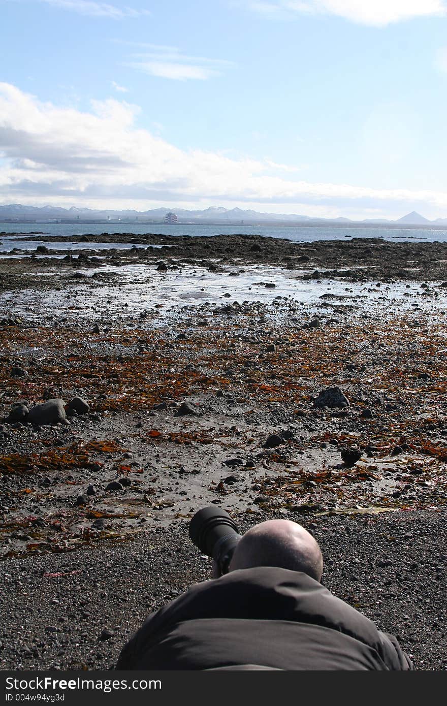 Professional photographer lying in the shore shooting seabirds. Professional photographer lying in the shore shooting seabirds