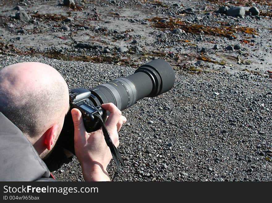 Wildlife photographer lying on the shore shooting seabirds. Wildlife photographer lying on the shore shooting seabirds