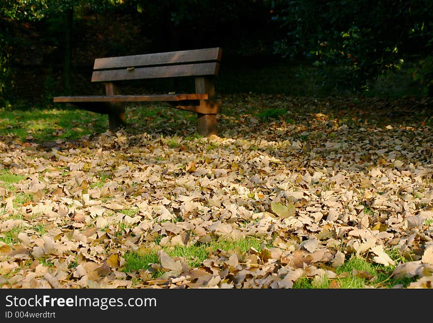 Autumn Bench