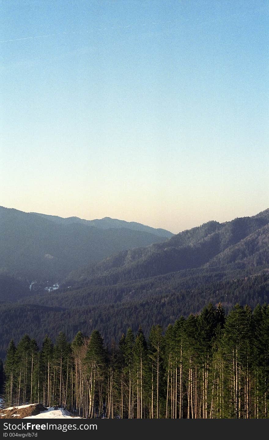 The clear cut end of a forest in the mountains, with a pale yellow to light blue sky. 35mm film scan. The clear cut end of a forest in the mountains, with a pale yellow to light blue sky. 35mm film scan.