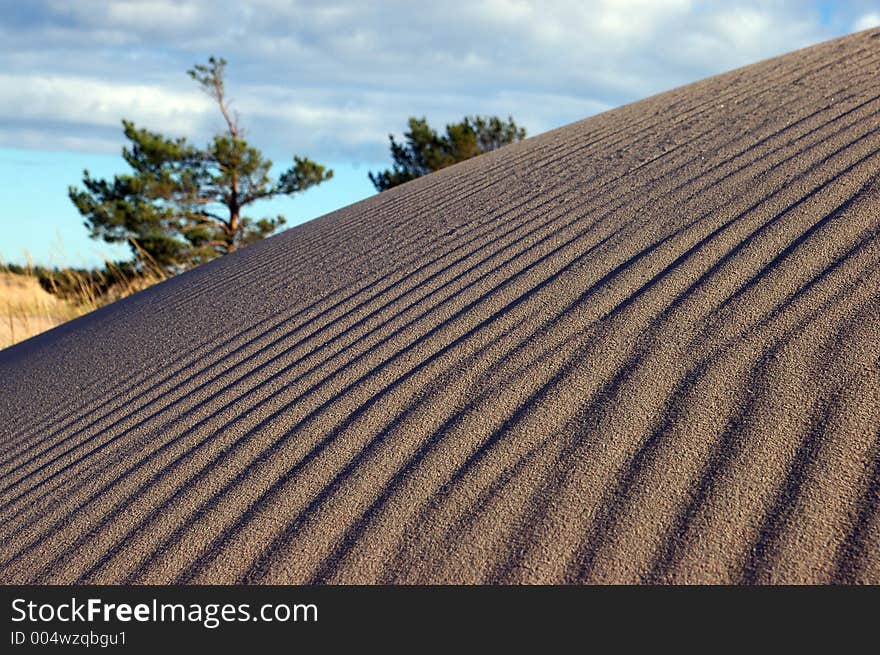 Sand dune on a beach