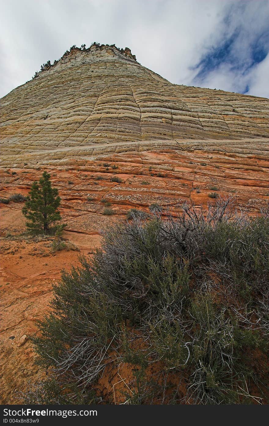 Checkerboard Mesa, Zion National Park