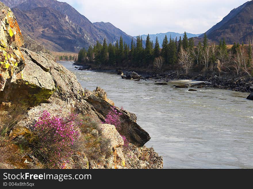 River In The Mountains. Russia,