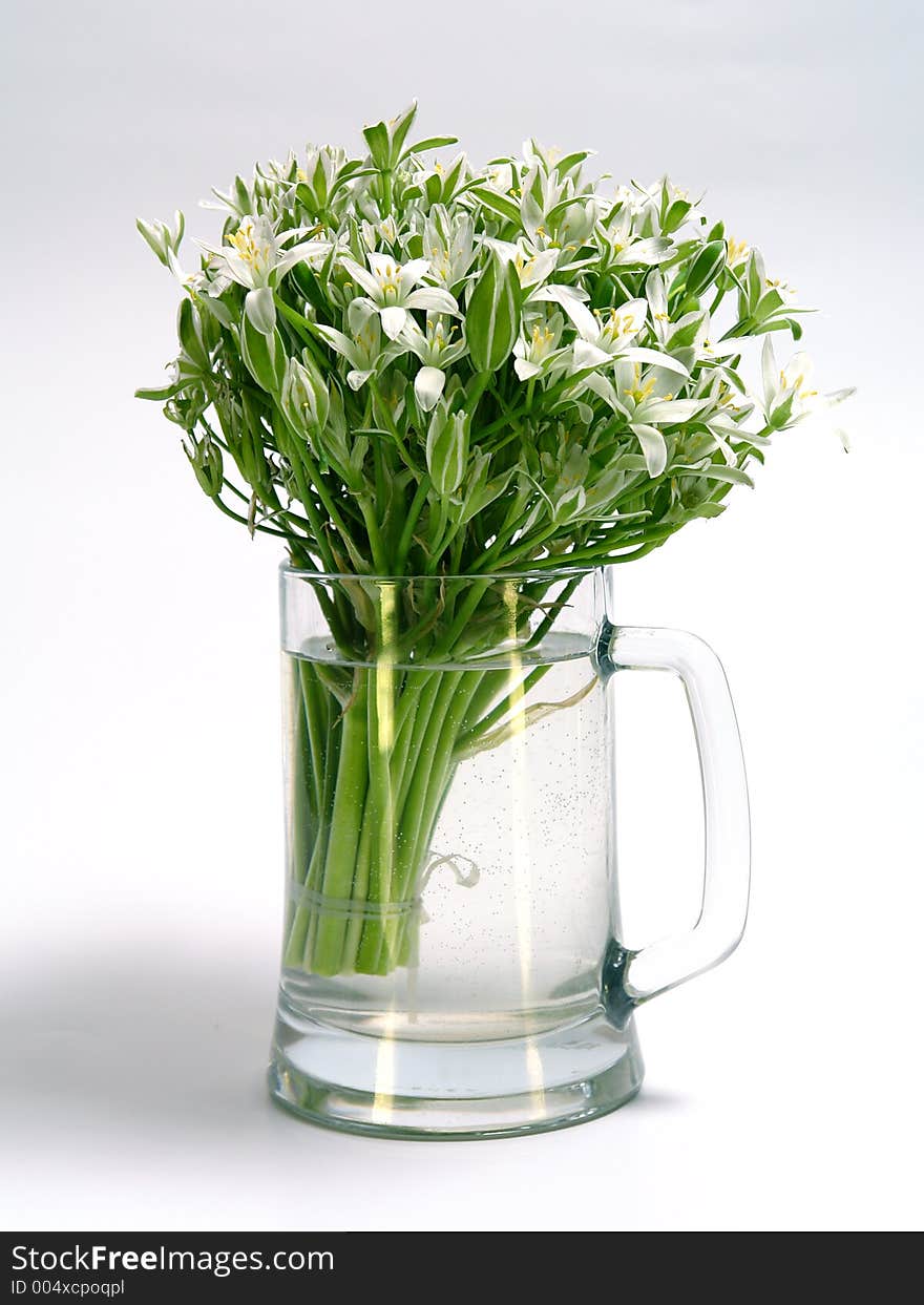 Bouquet from white colours. Bouquet from white colours