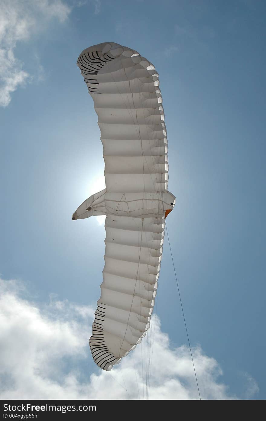 Birdkite against blue sky