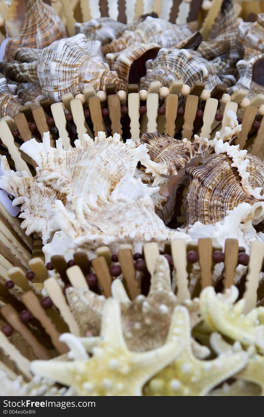 Seashells Being sold by the sea side