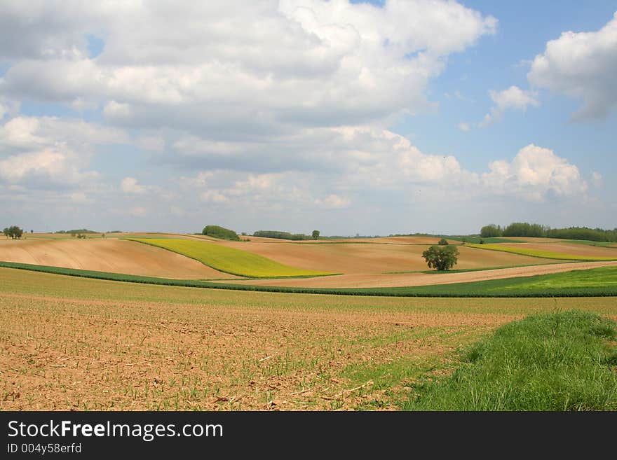 Countryside landscape