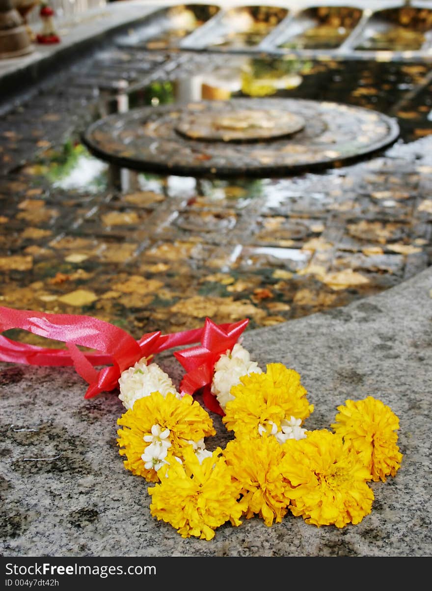 Yellow Flowers