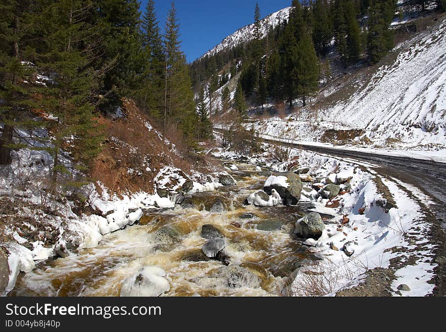 Red river, white ice and green firs. Altay.