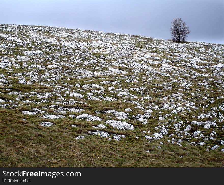 Karabie Plateau,Krimea,Ukraine