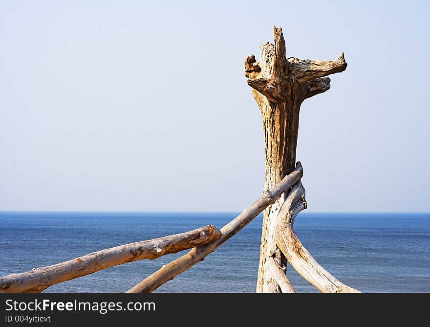 Construction made from driftwoods