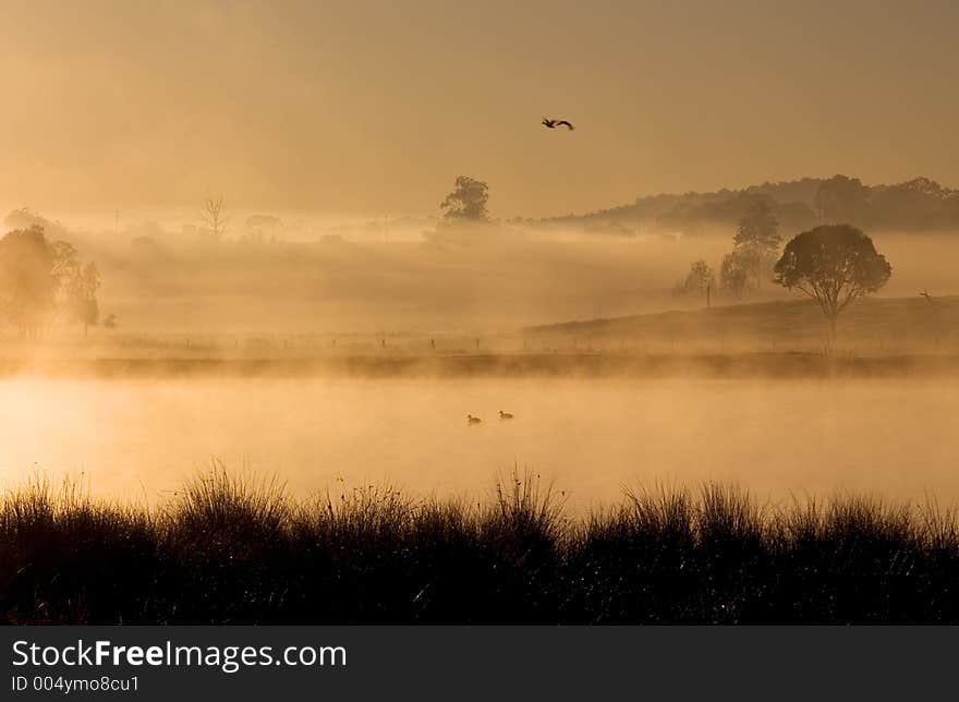 Sunrise over a misty Australian rural dam. Sunrise over a misty Australian rural dam