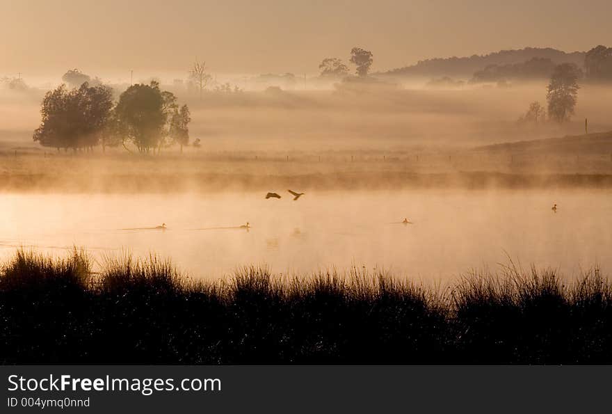 Sunrise over a misty Australian rural dam. Sunrise over a misty Australian rural dam