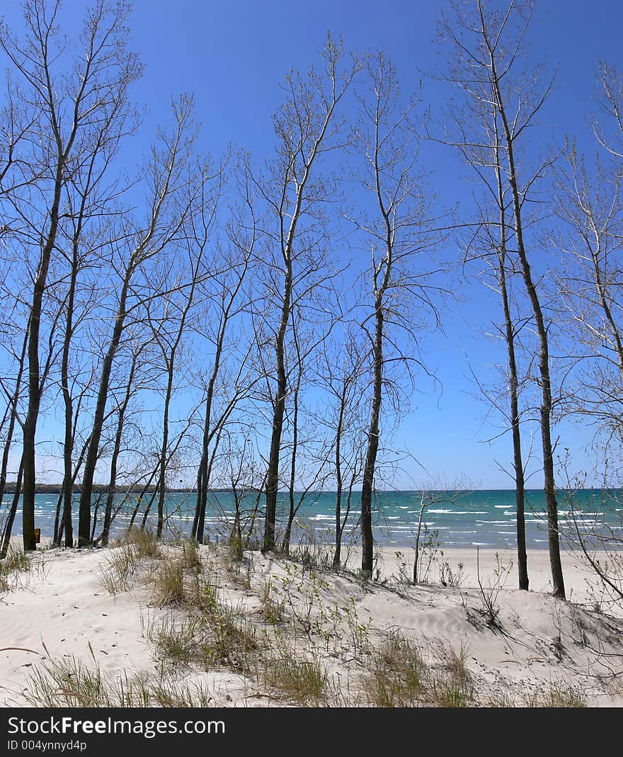 Great Lake Beach