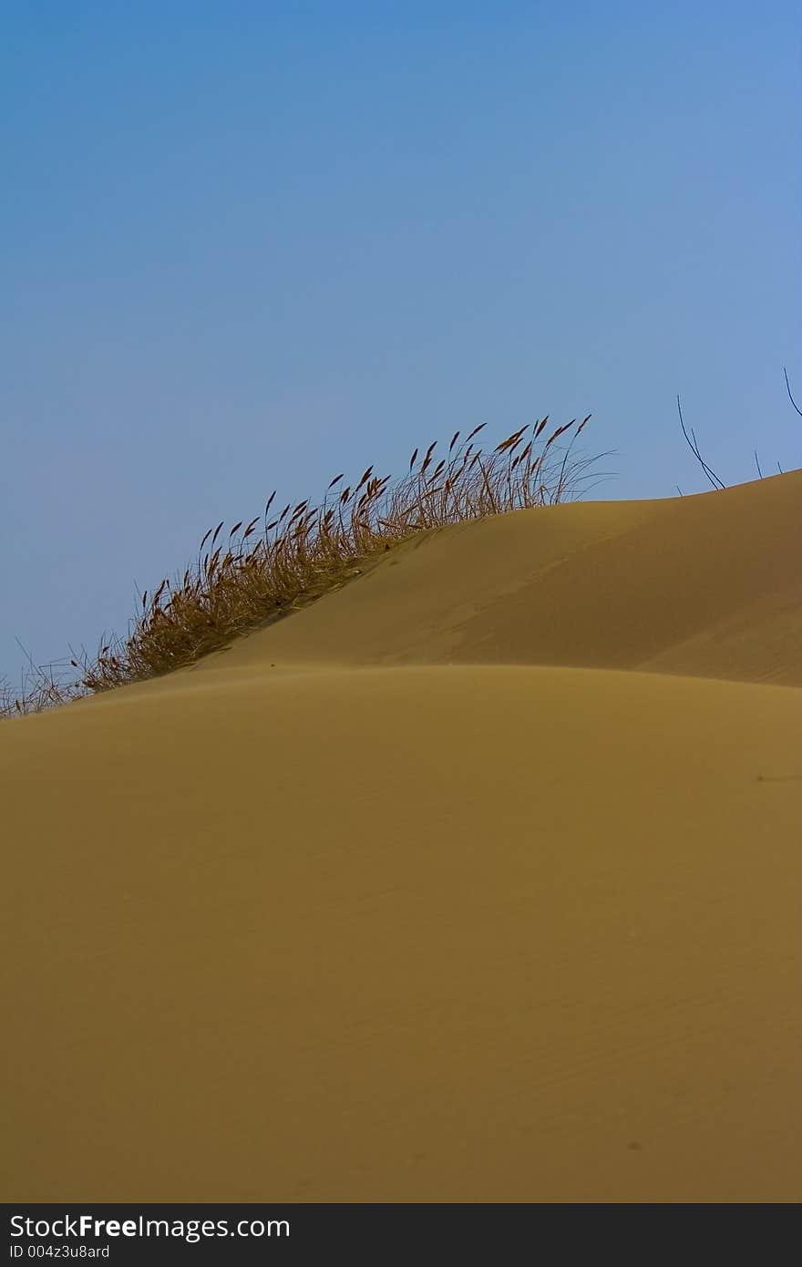 Dunes at Nida, Lithuania. Dunes at Nida, Lithuania.