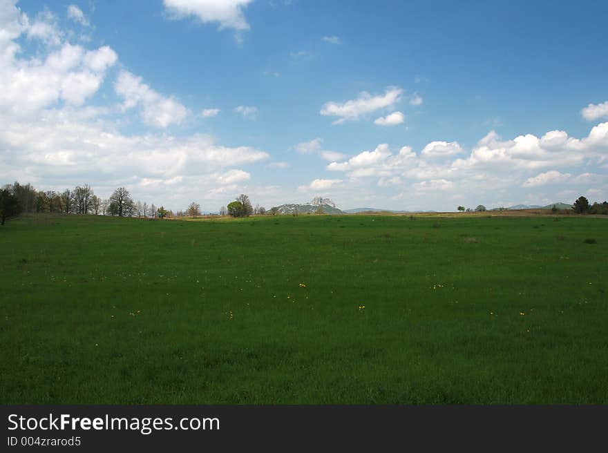 Green landscape