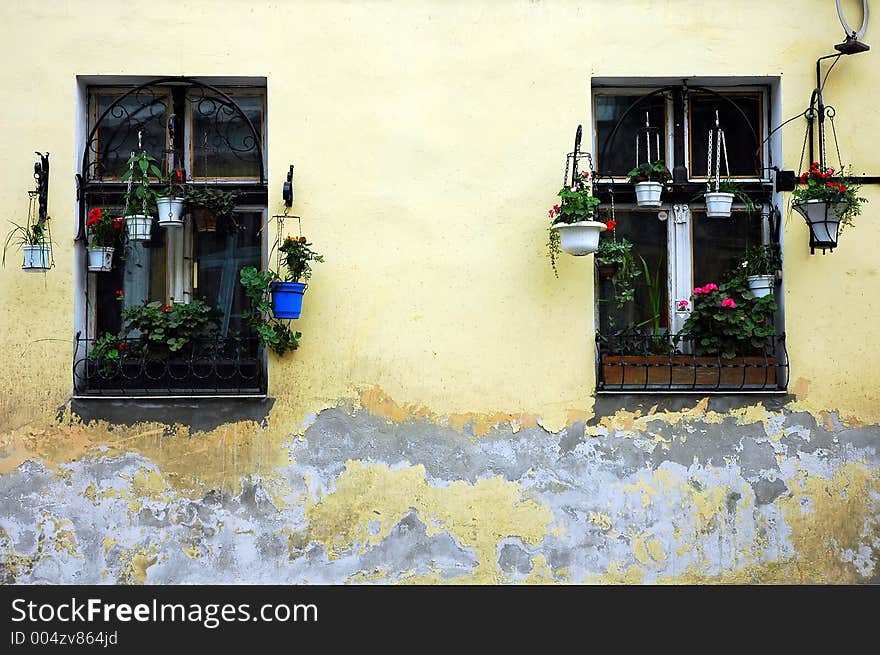 Happy living inside of a broken house. Happy living inside of a broken house