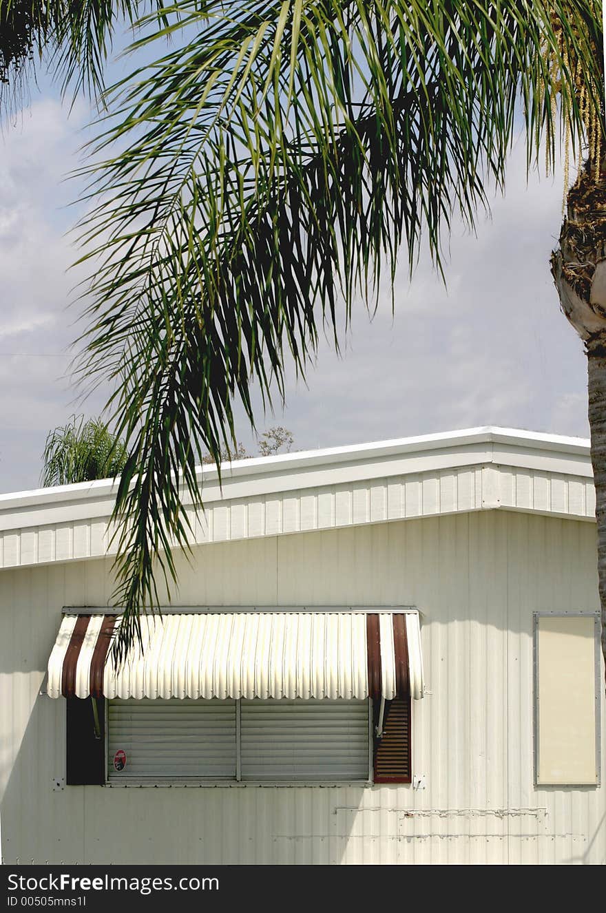 Window with canopy under Palm. Window with canopy under Palm