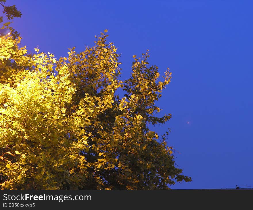 Night shot, unreal fall color. Night shot, unreal fall color