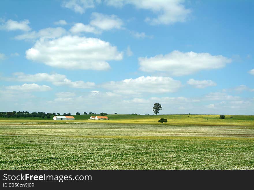 Farm And Flowery Fields