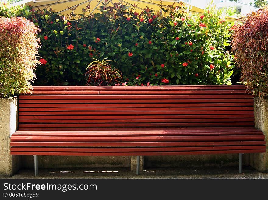 Tropical Park Bench