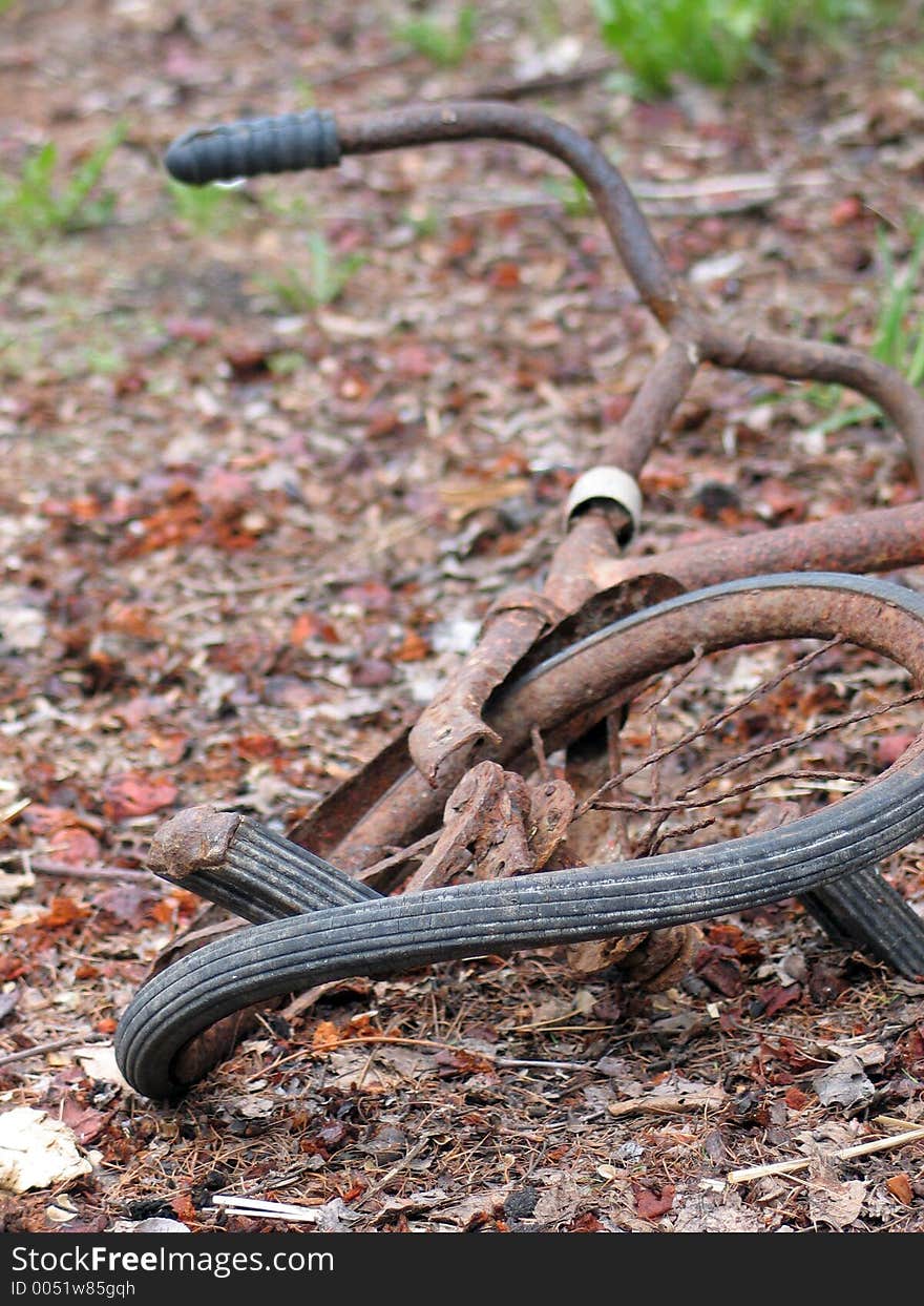 Rusty bicycle on dry leaves