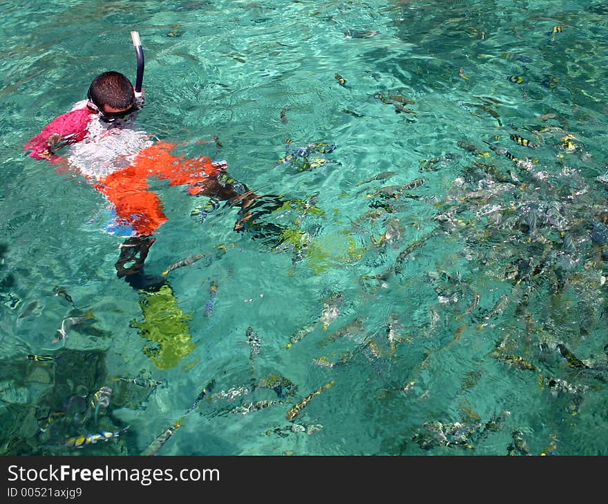 Snorkeling in tropical water