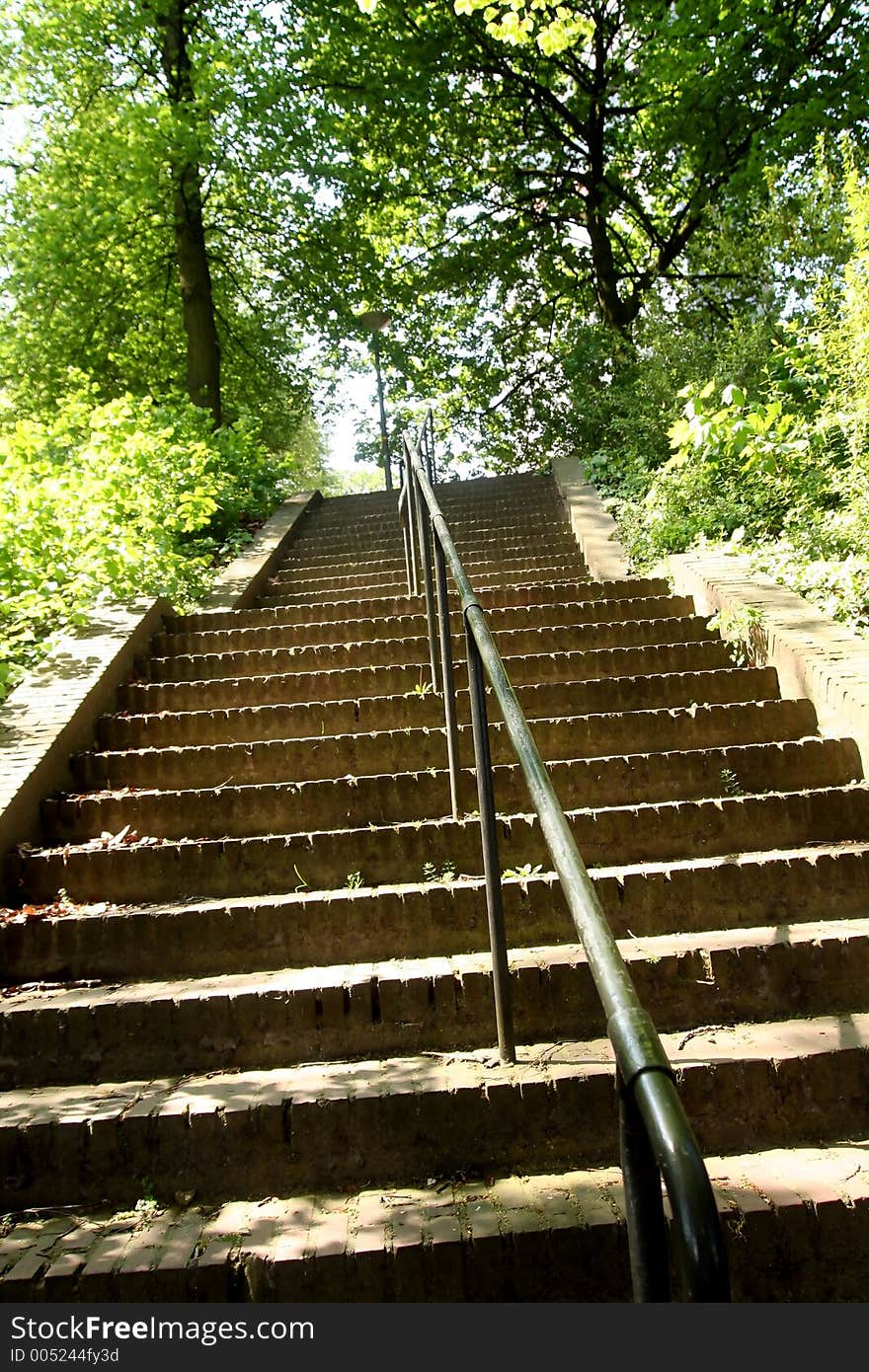 Stairway to forest