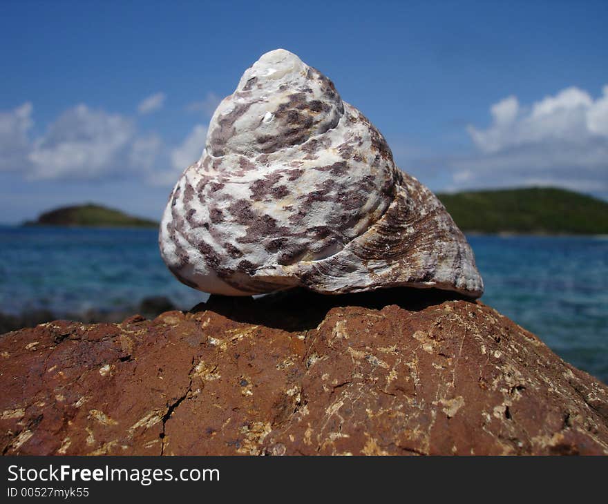 A shell lays atop a boulder with the island paradise of Puerto Rico, Culebrita in the background. A shell lays atop a boulder with the island paradise of Puerto Rico, Culebrita in the background