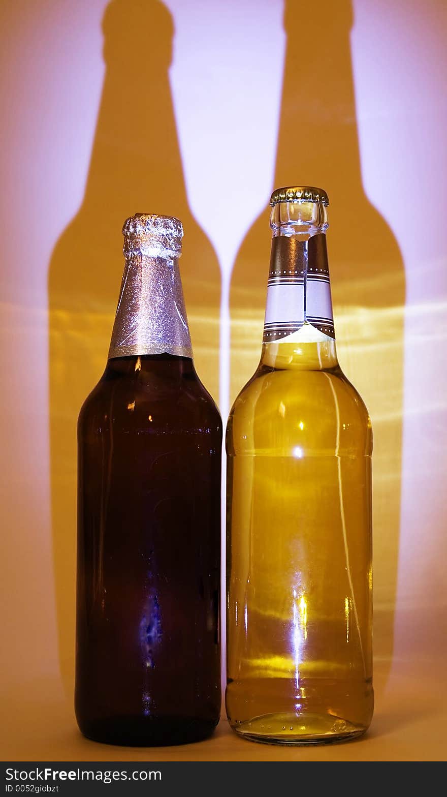 Two bottles with light and dark beer