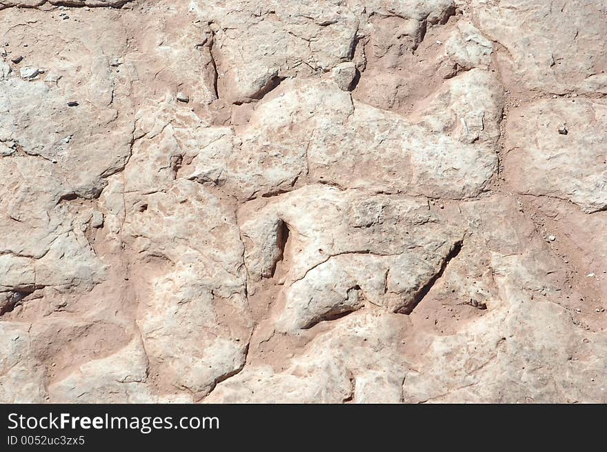 Dinosaur Tracks 1