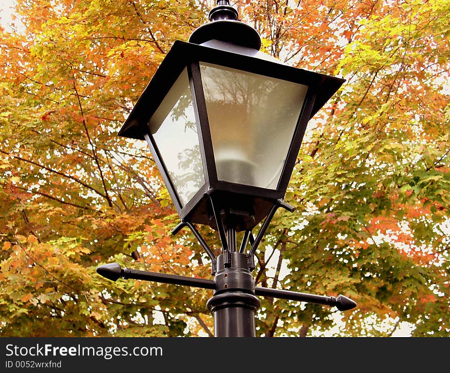 Lamp with Autumn background