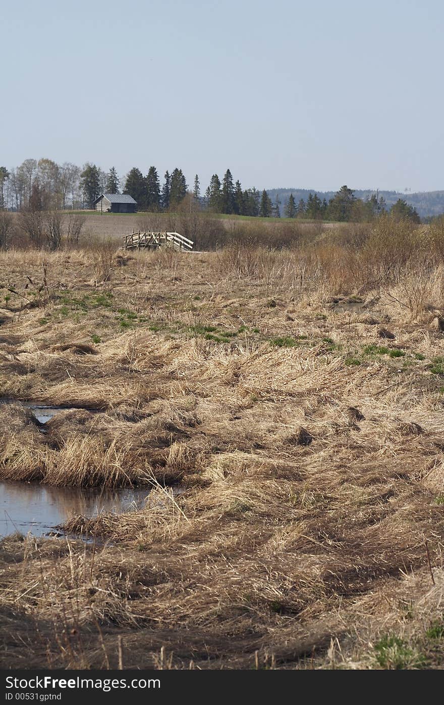 Spring landscape