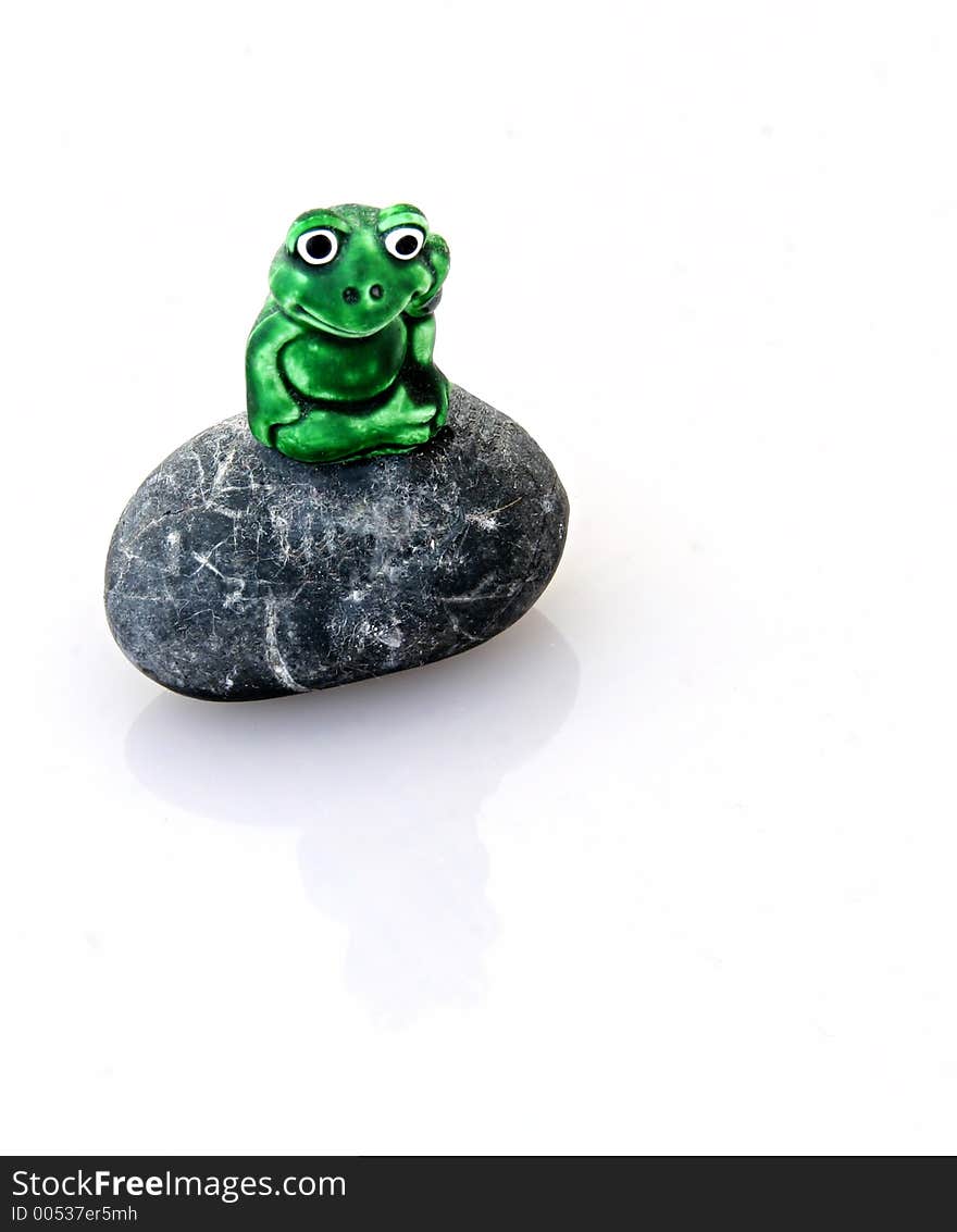 Frog on a rock