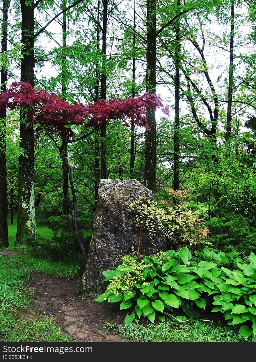 Trees and stone on the park