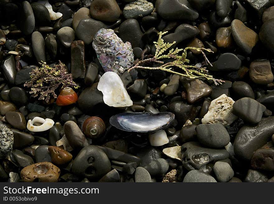 Colorful rocks, shells and sea weed drying on the beach in California make for a wonderful background of color and pattern. Colorful rocks, shells and sea weed drying on the beach in California make for a wonderful background of color and pattern.