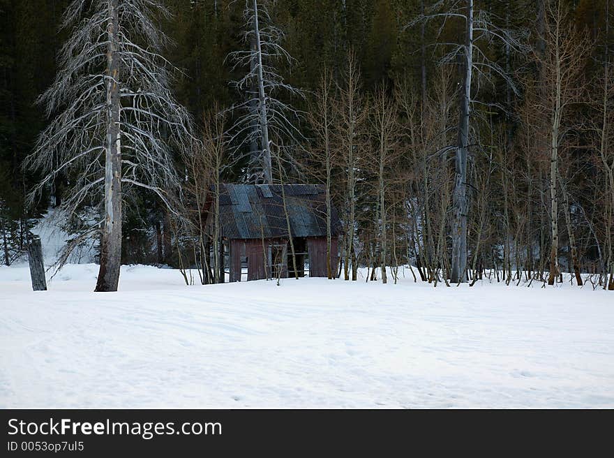 Cabin in Snow