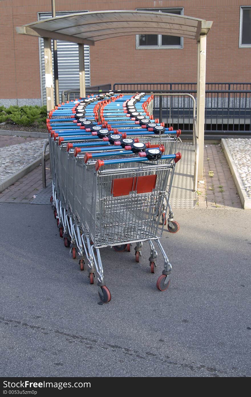 Shoping cart