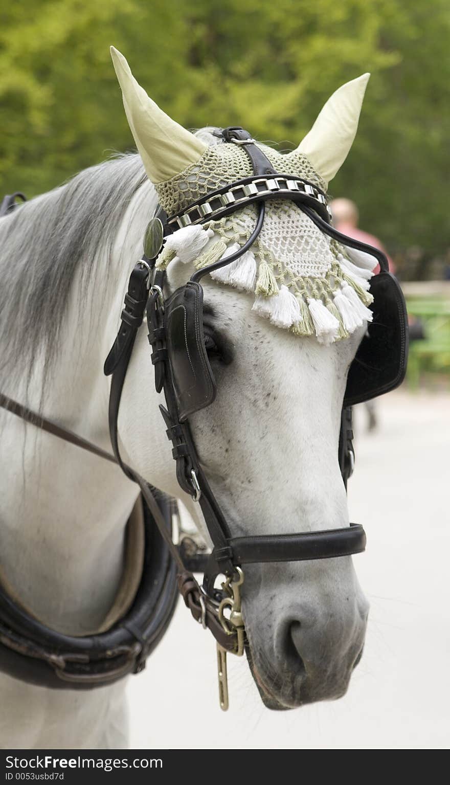 White Horse in english garden, munich