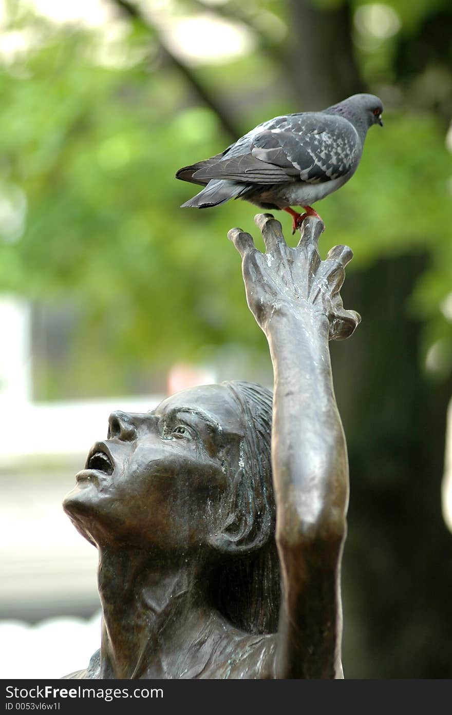 Pigeon and Statue