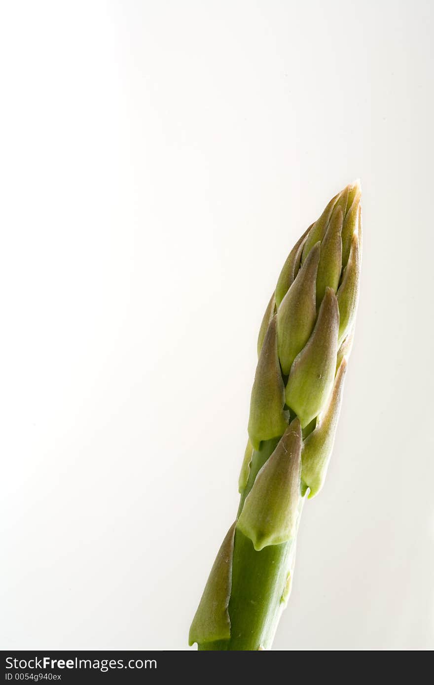 Single Asparagus