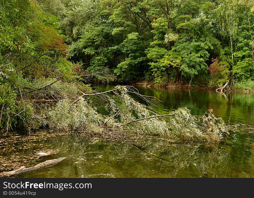 Floodplain