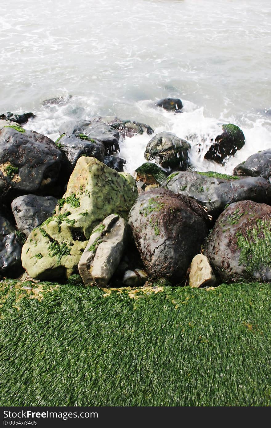 Bright green moss growing on rocks at the beach - copy space. Bright green moss growing on rocks at the beach - copy space