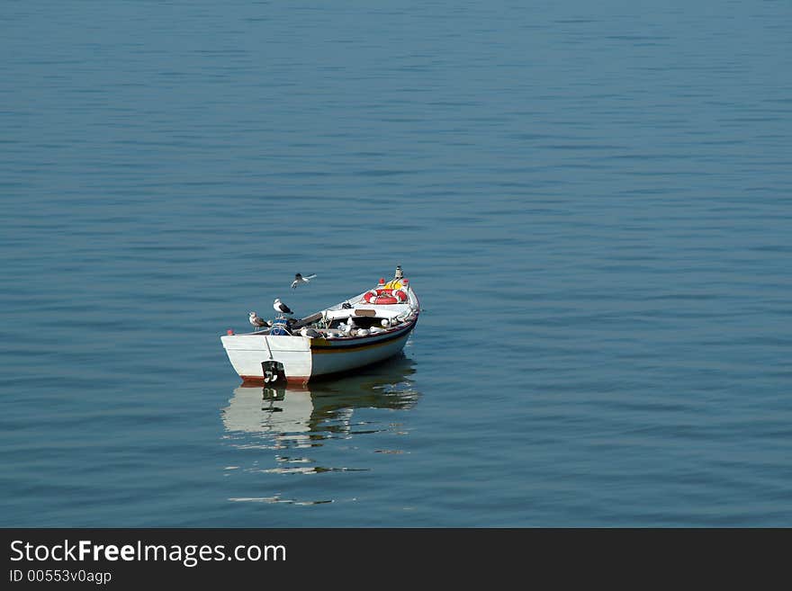 Boat moored with seagulls. Boat moored with seagulls