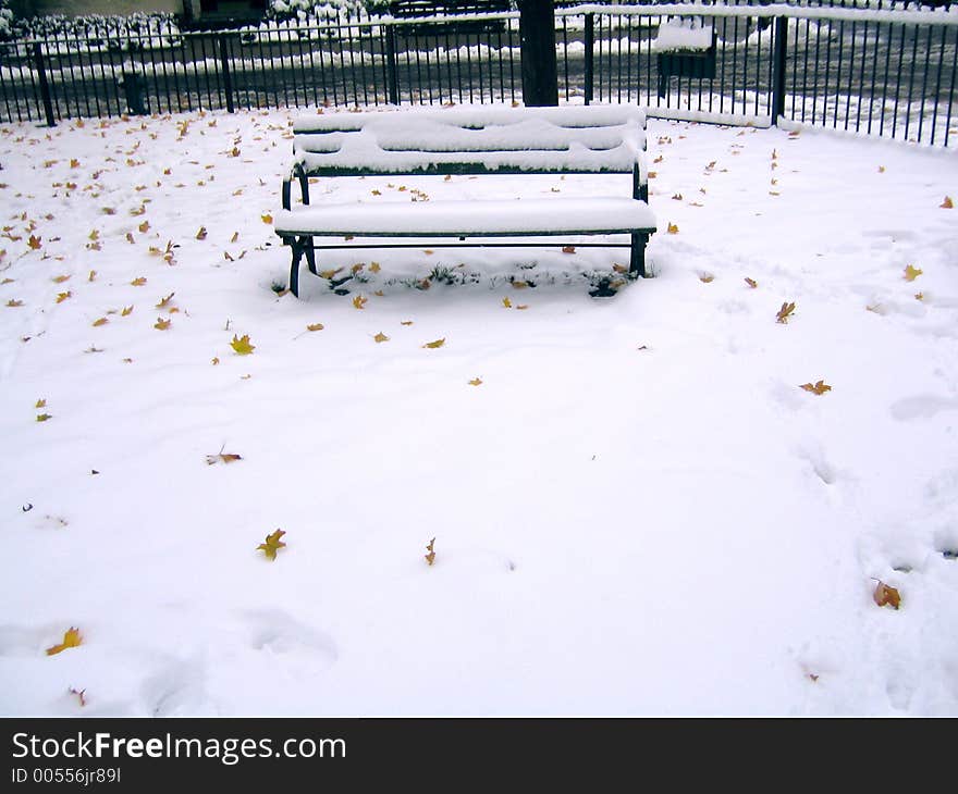 Snow Covered Bench