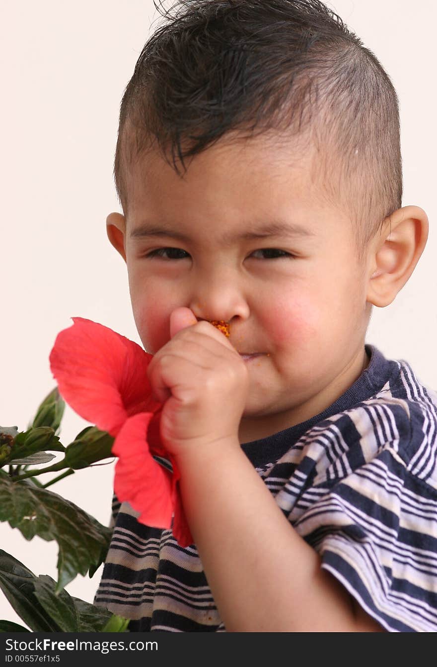 Small boy smells the flower. Small boy smells the flower