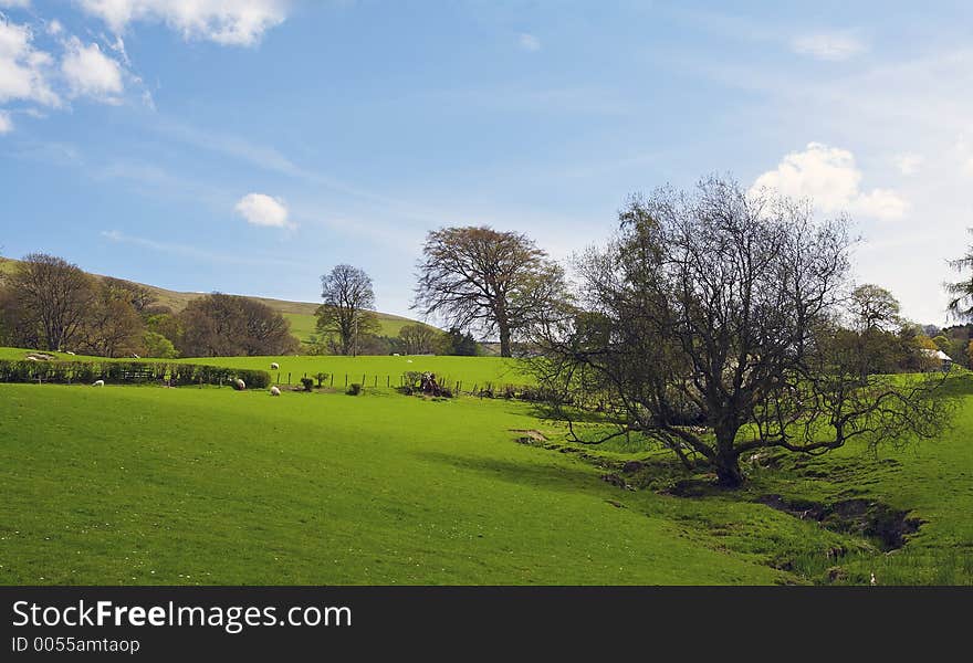 Landscape