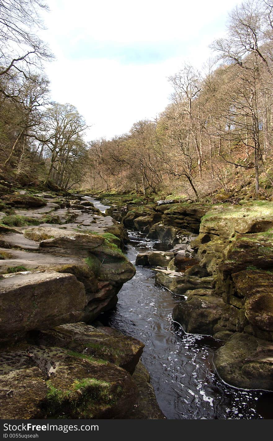 Bolton Abbey