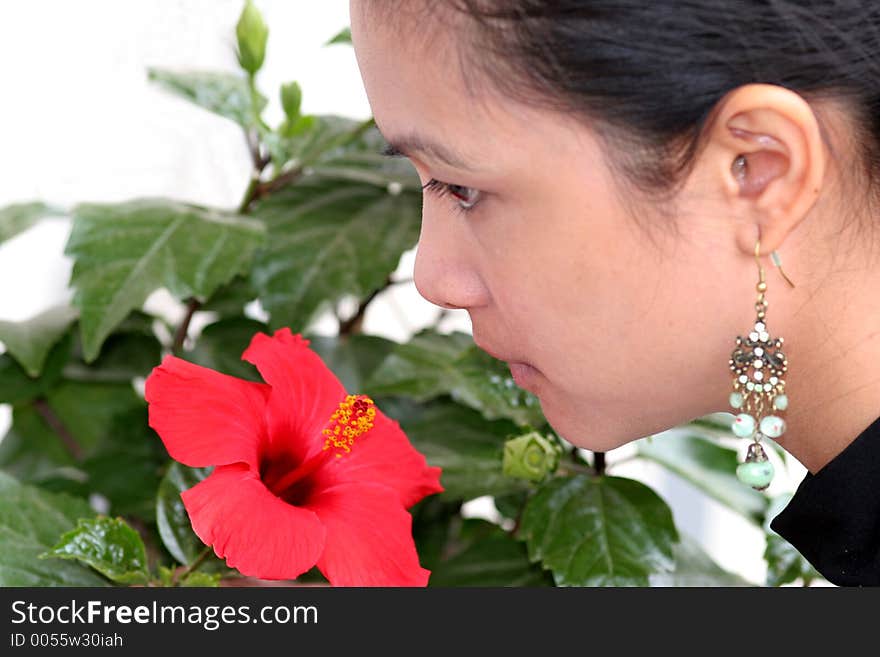 A young asian girl smells the red flower. A young asian girl smells the red flower